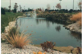 Storm Water Ponds