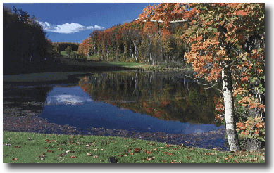 golf pond liners